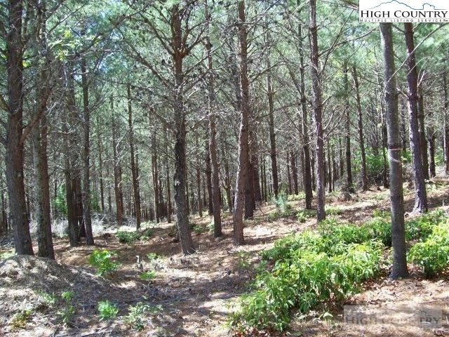 Image number 3 for the current listing