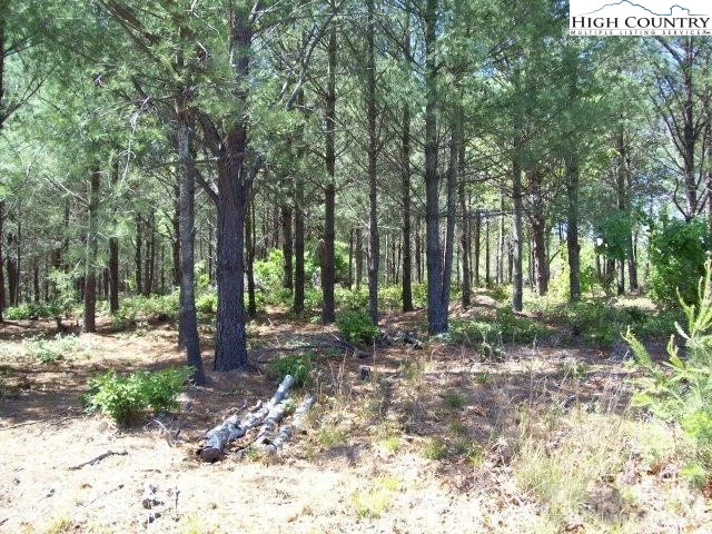 Image number 4 for the current listing