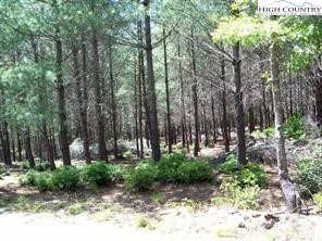 Image number 3 for the current listing