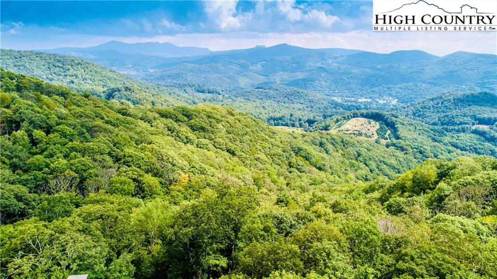Image number 1 for the current listing