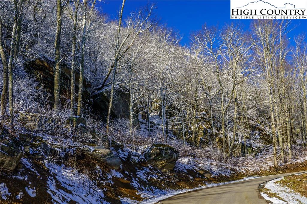 Image number 11 for the current listing