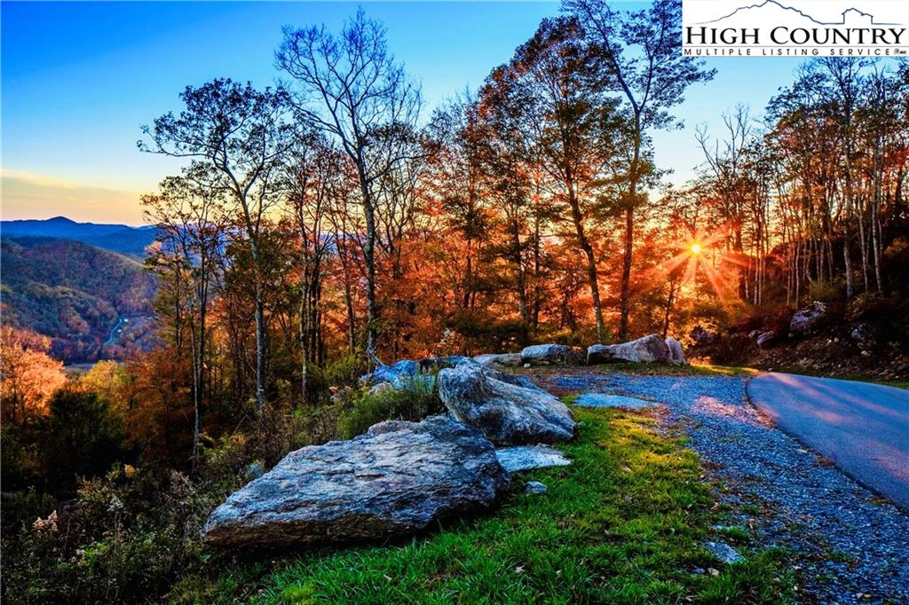 Image number 12 for the current listing
