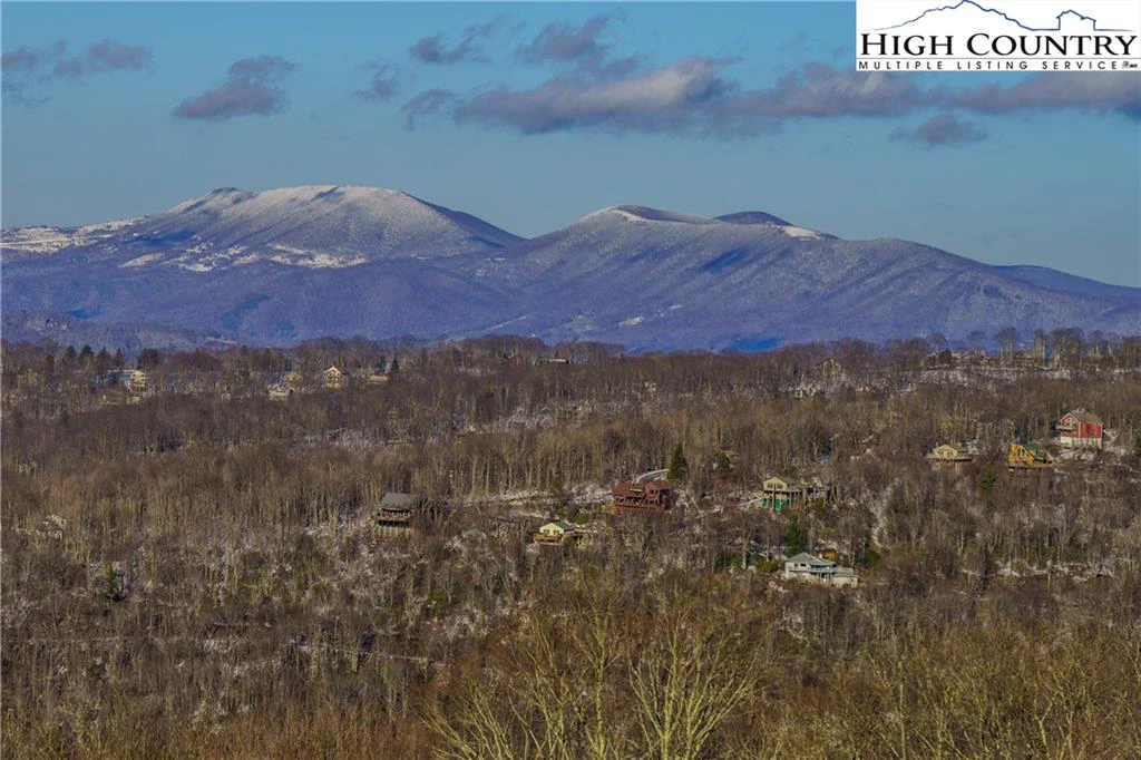 Image number 17 for the current listing