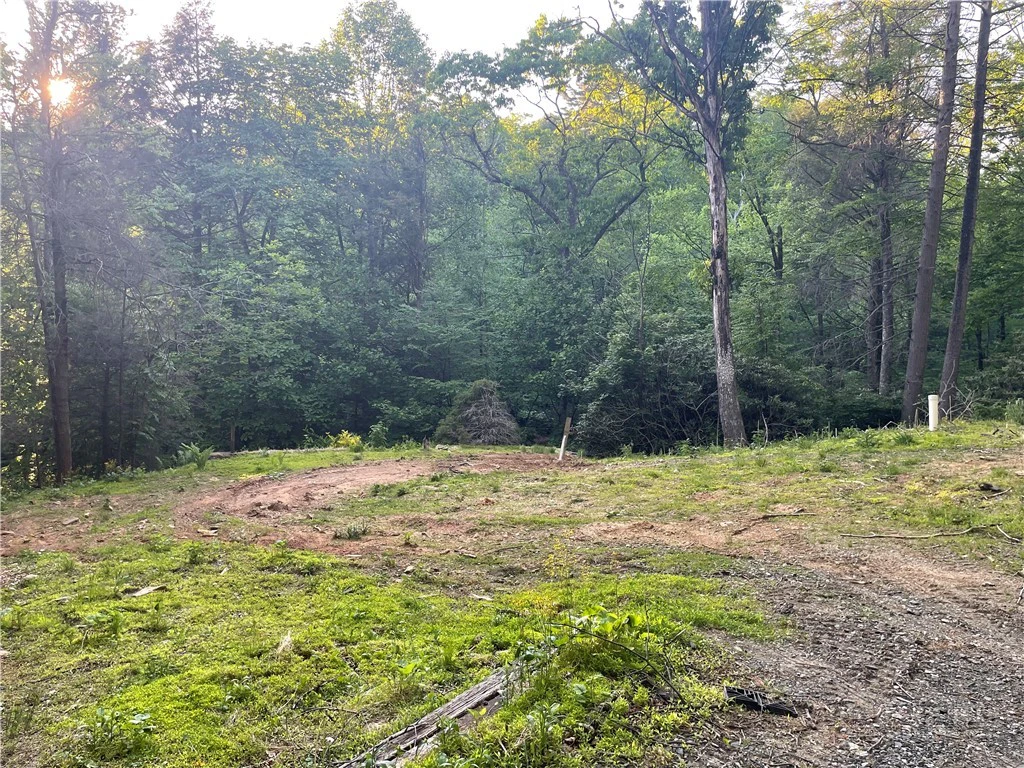 Image number 1 for the current listing