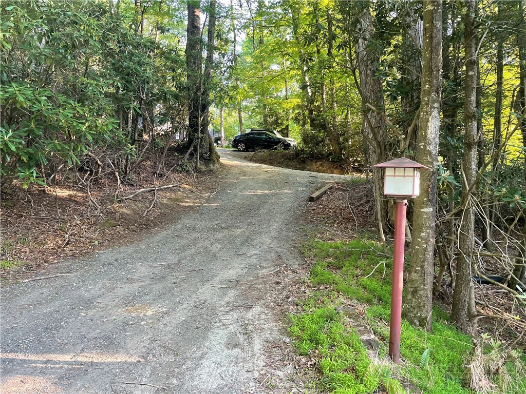 Image number 2 for the current listing