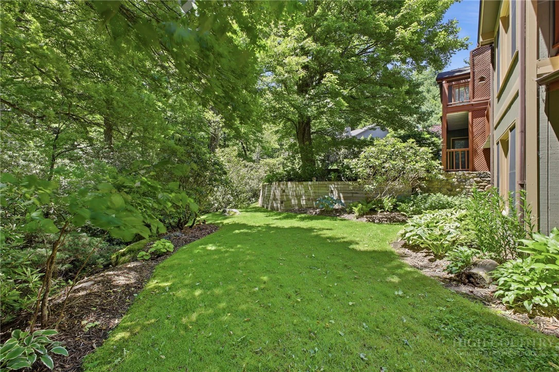 Image number 5 for the current listing