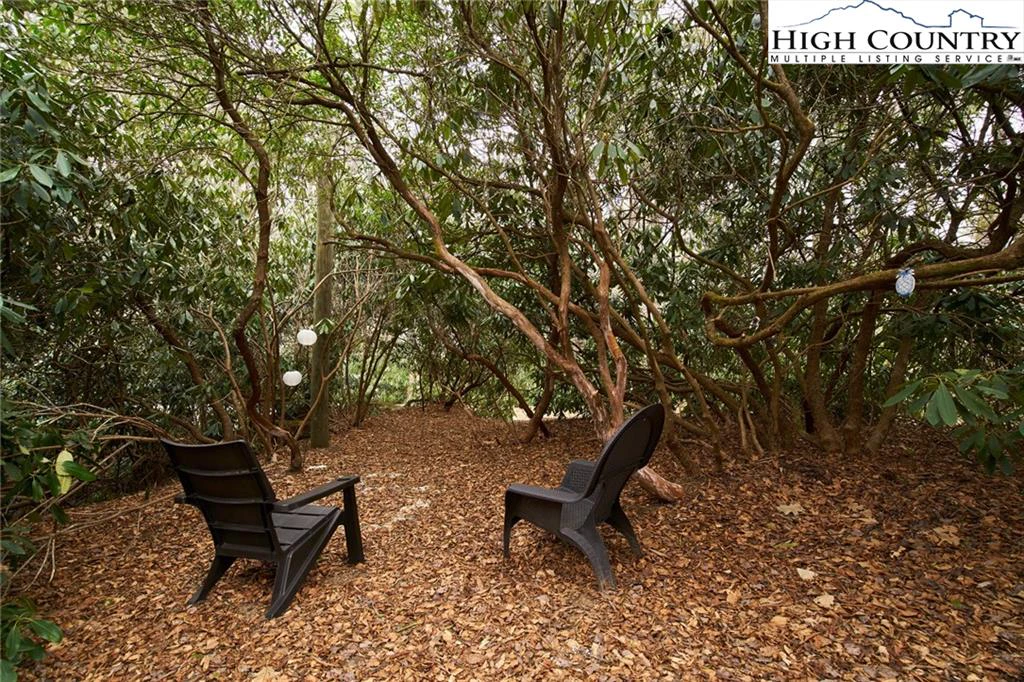 Image number 6 for the current listing