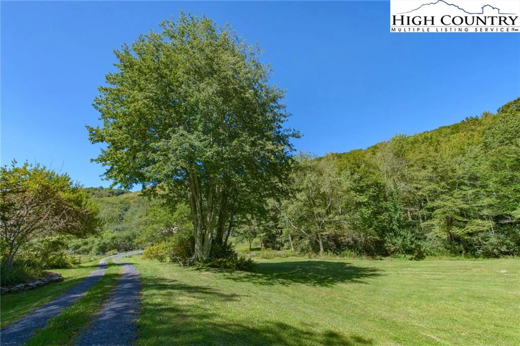 Image number 21 for the current listing