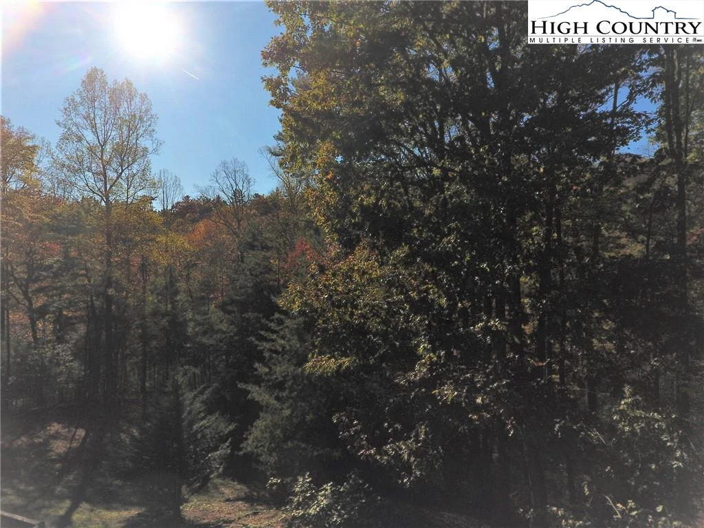 Image number 14 for the current listing