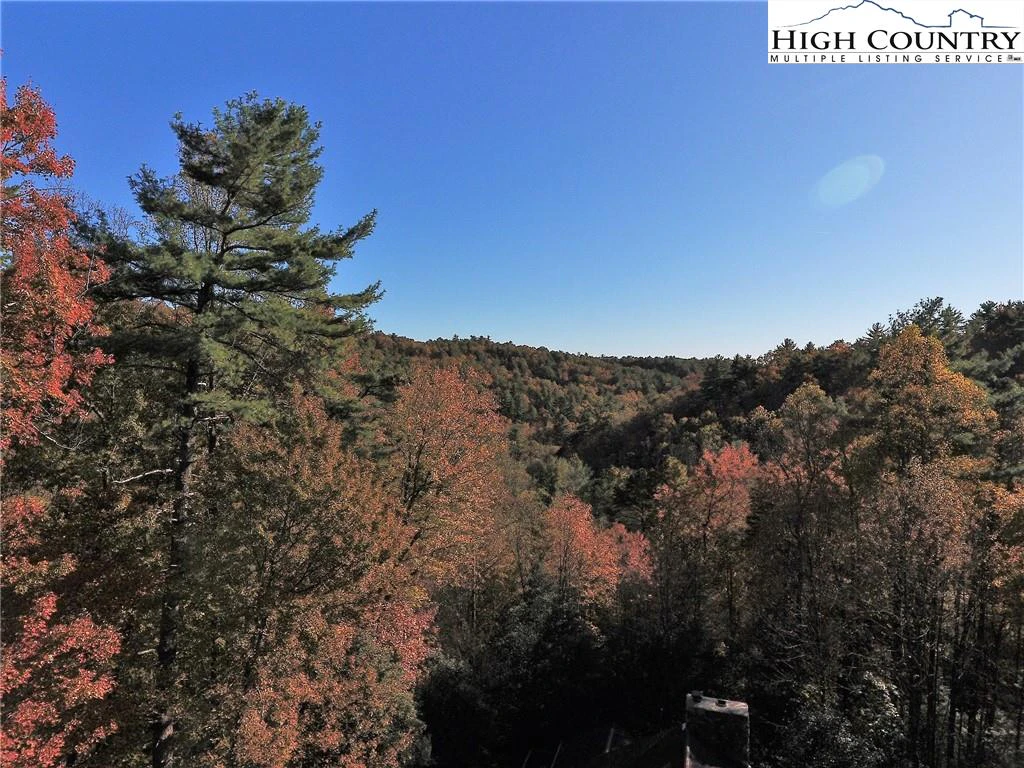 Image number 13 for the current listing