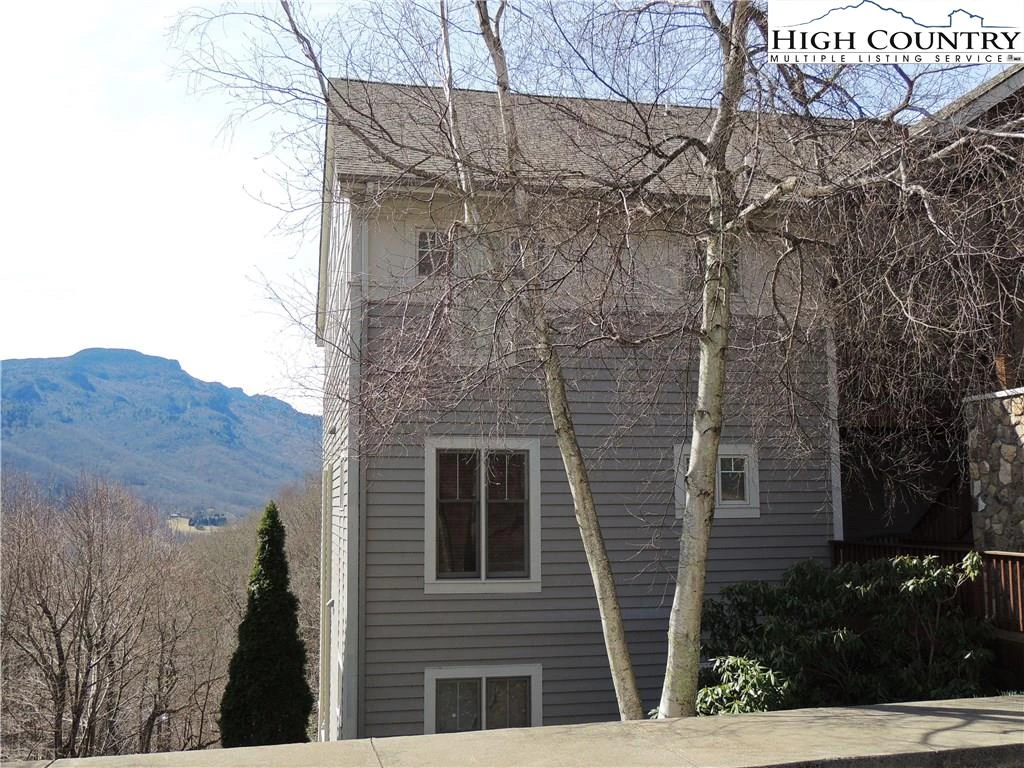 Image number 1 for the current listing