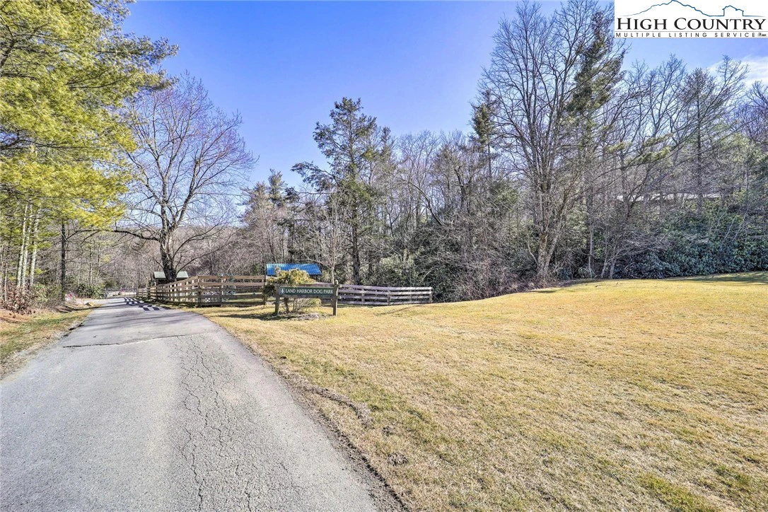 Image number 4 for the current listing