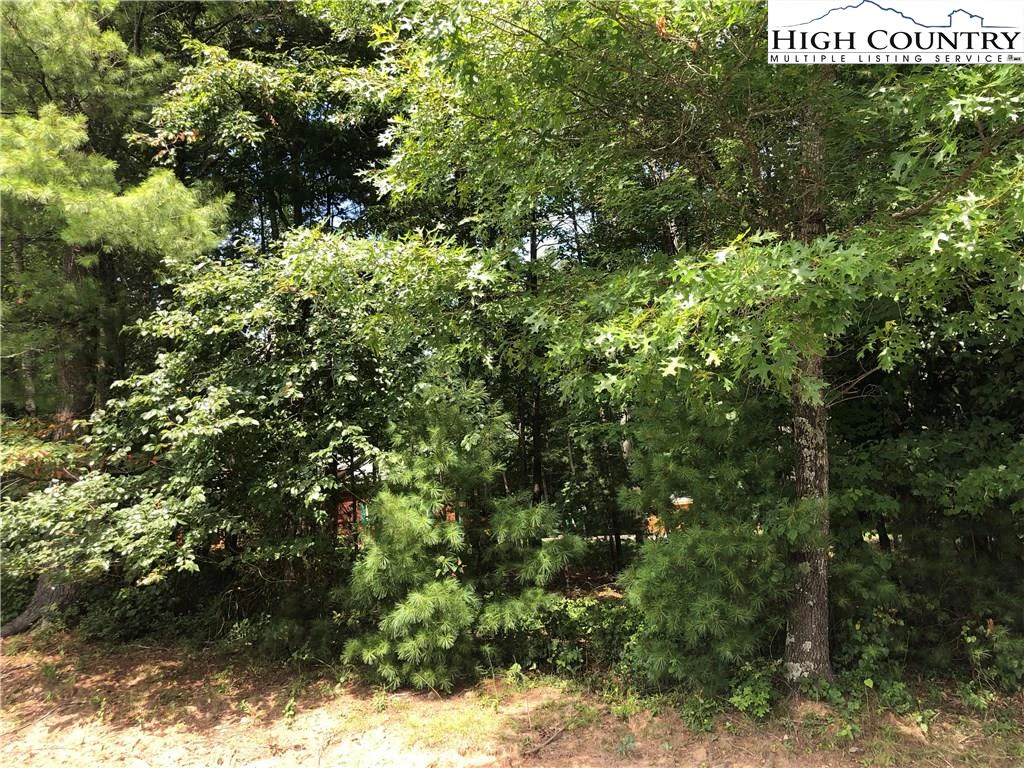 Image number 18 for the current listing