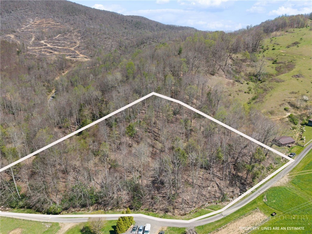 Image number 1 for the current listing