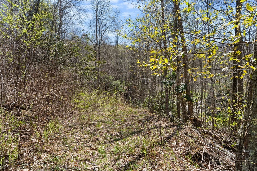 Image number 18 for the current listing
