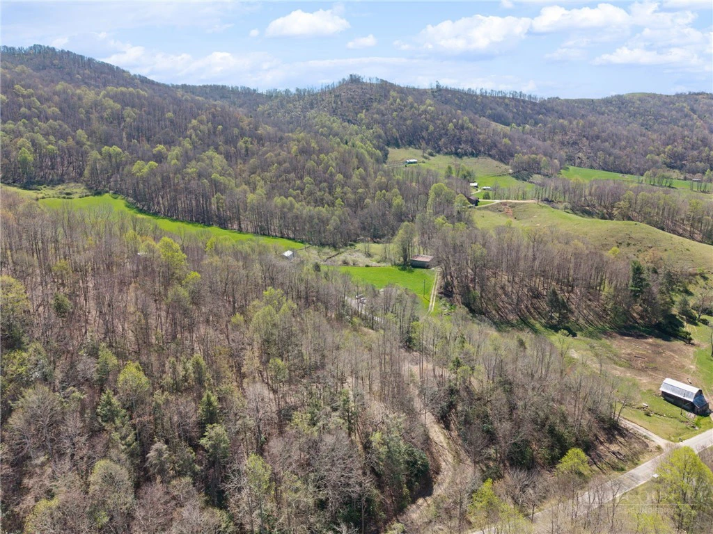 Image number 2 for the current listing
