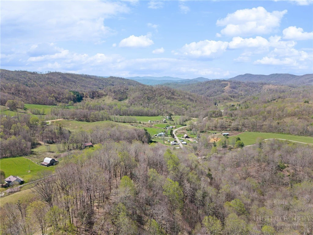 Image number 12 for the current listing