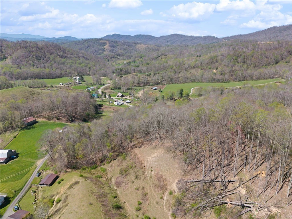 Image number 11 for the current listing