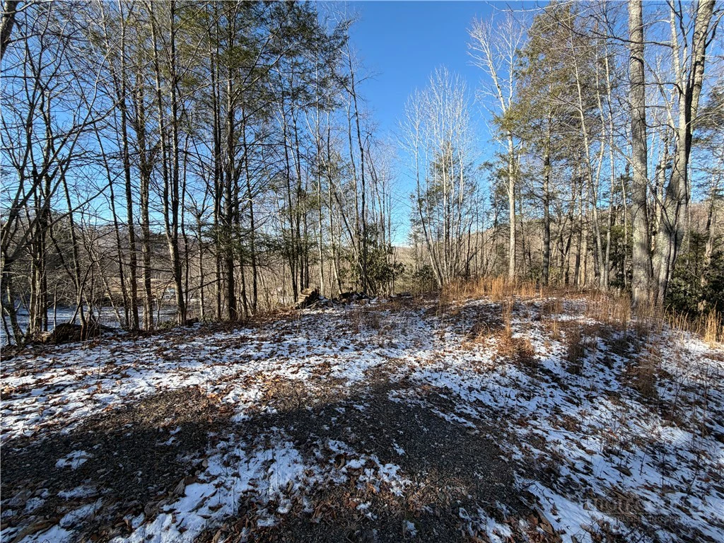 Image number 10 for the current listing