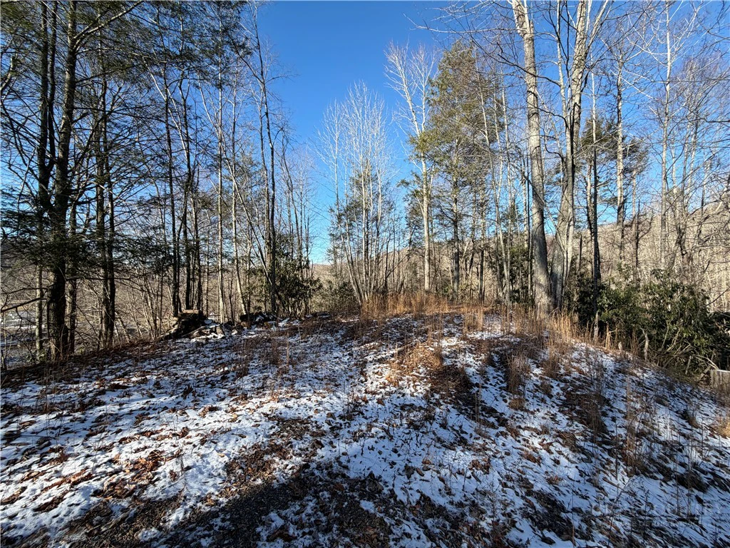 Image number 9 for the current listing