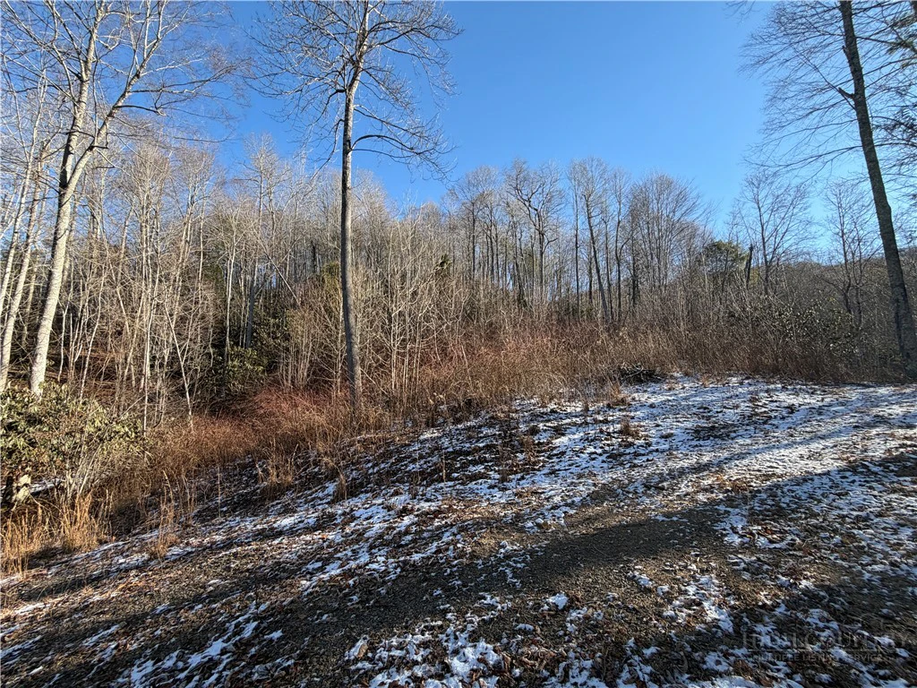 Image number 8 for the current listing
