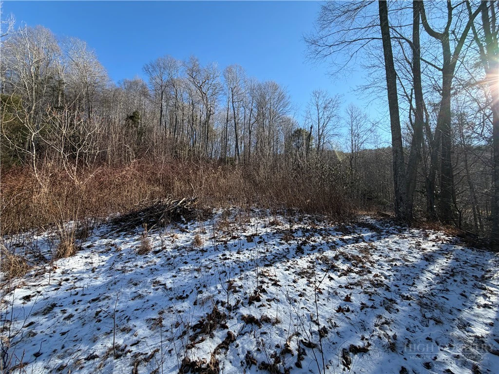 Image number 7 for the current listing