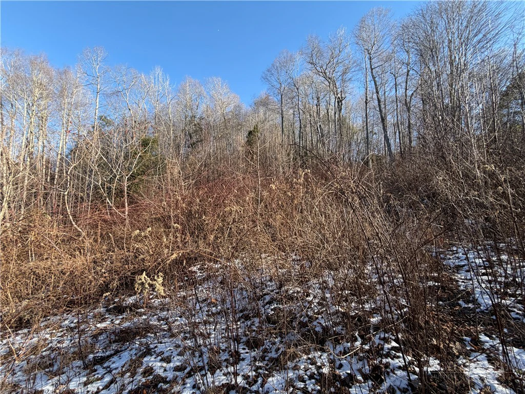 Image number 6 for the current listing