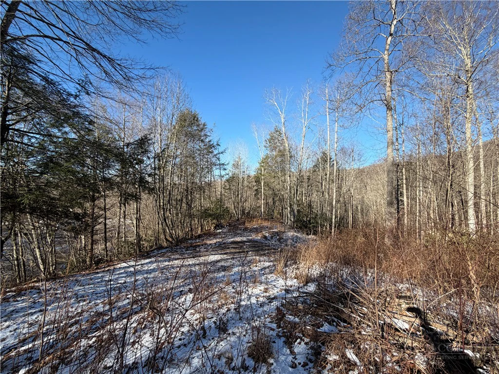 Image number 4 for the current listing