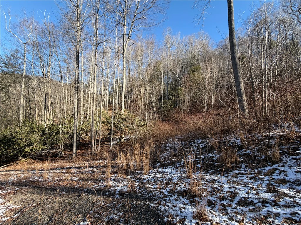 Image number 3 for the current listing