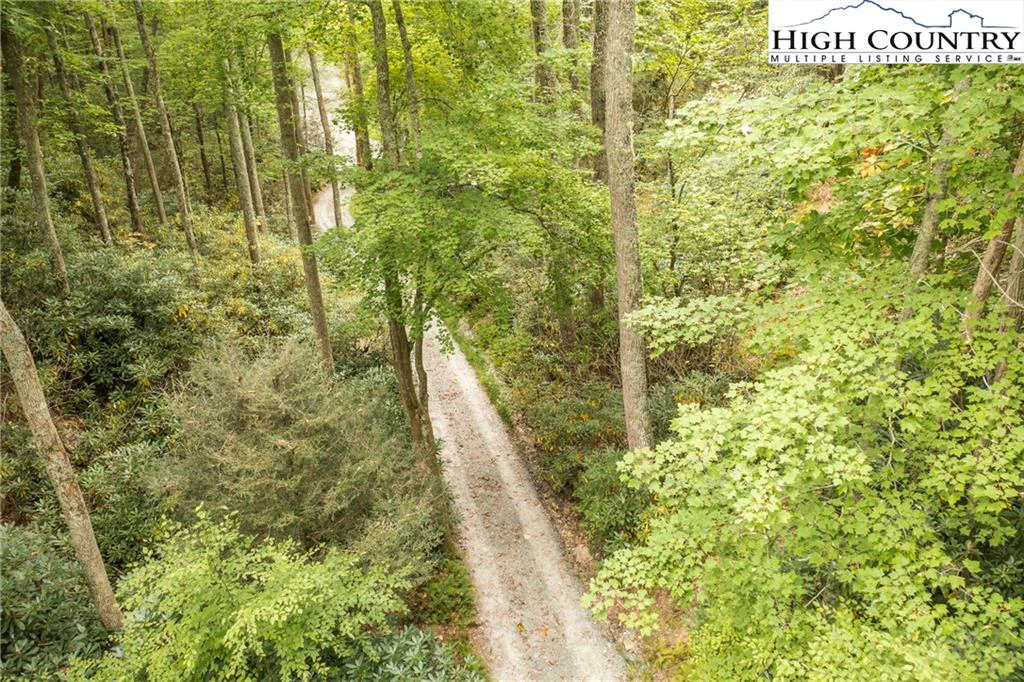 Image number 17 for the current listing