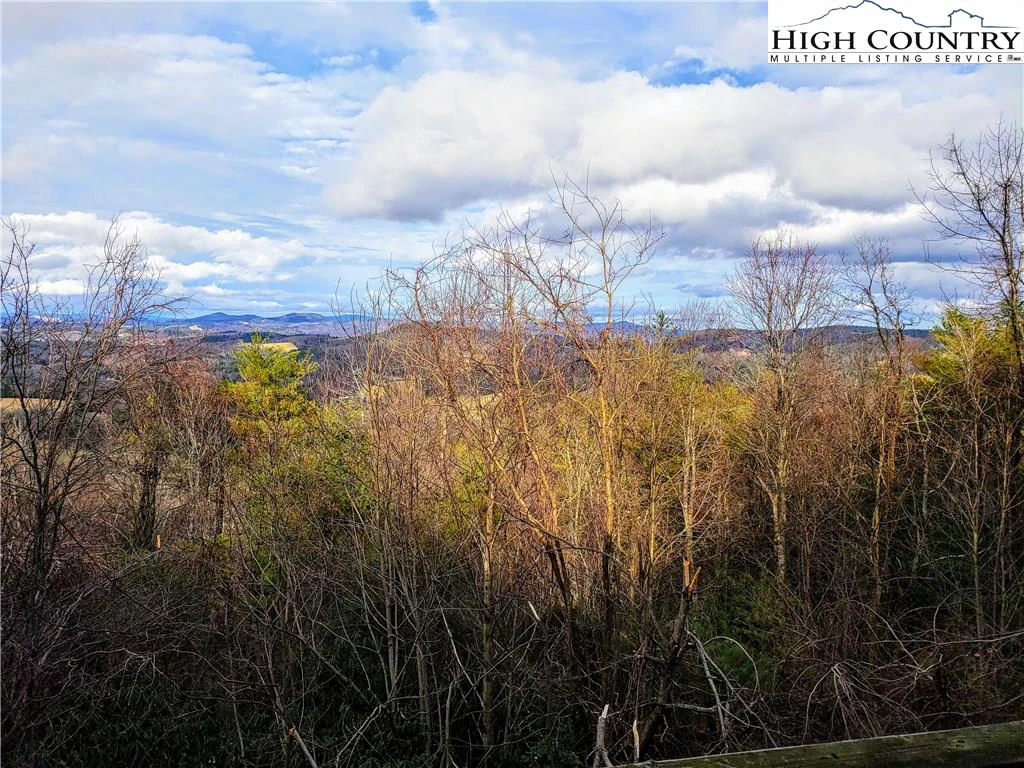 Image number 3 for the current listing
