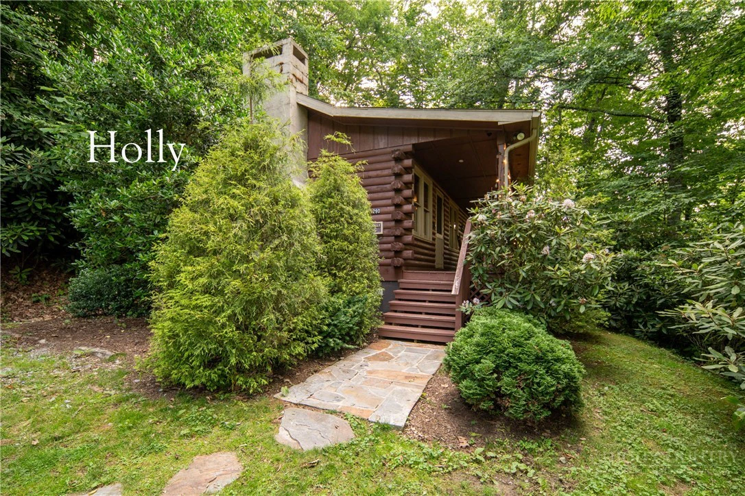 Image number 5 for the current listing