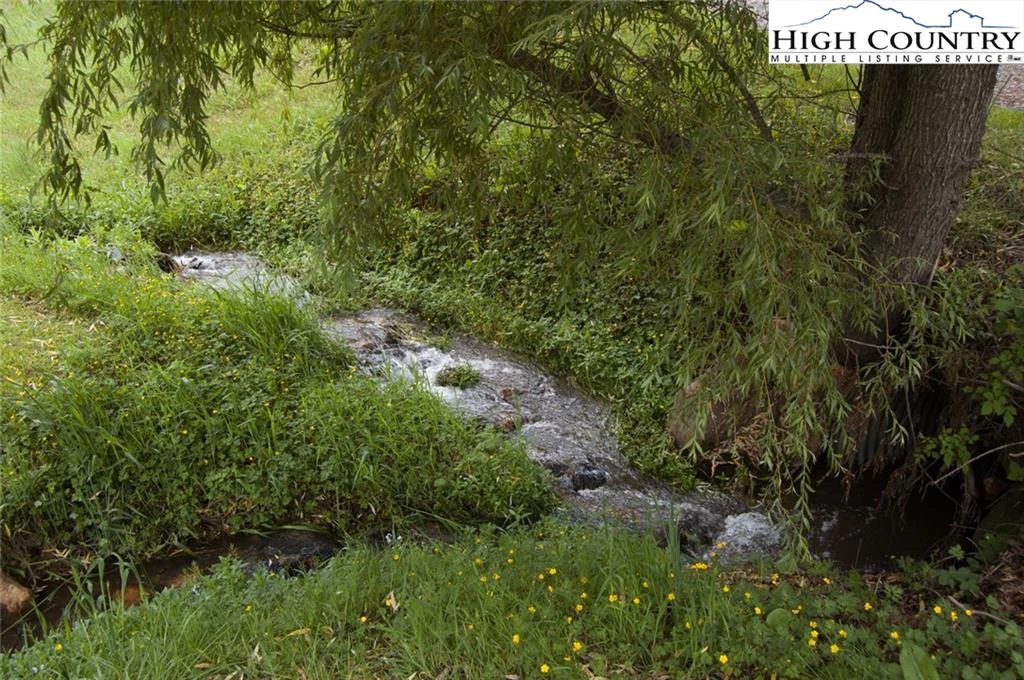 Image number 4 for the current listing