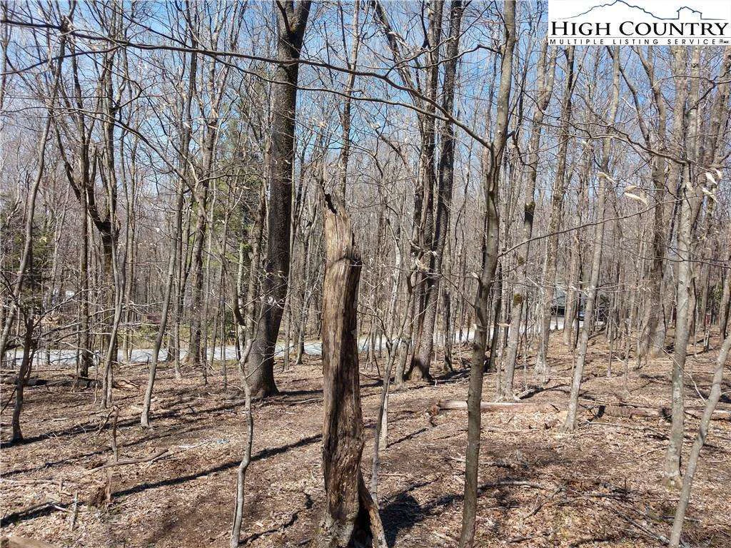 Image number 1 for the current listing
