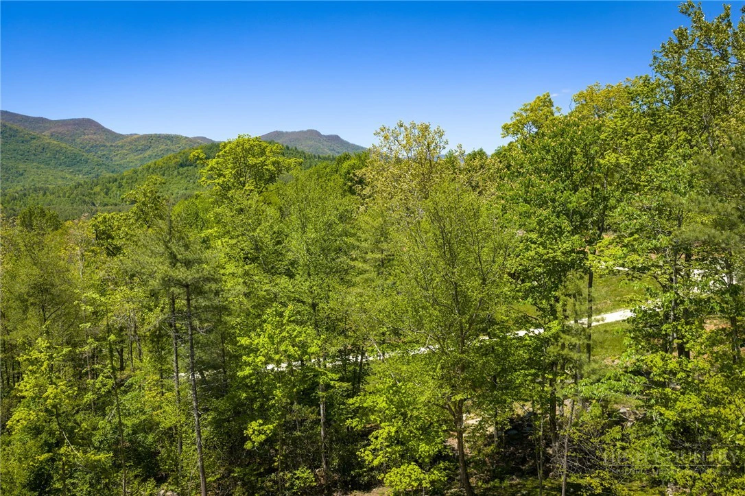 Image number 13 for the current listing