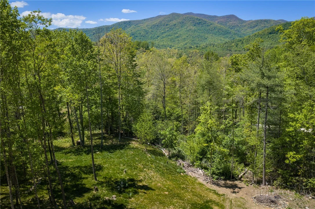 Image number 14 for the current listing