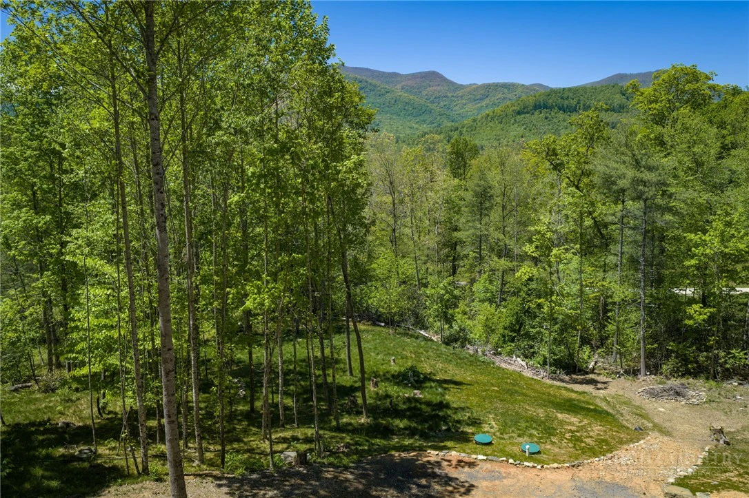 Image number 17 for the current listing