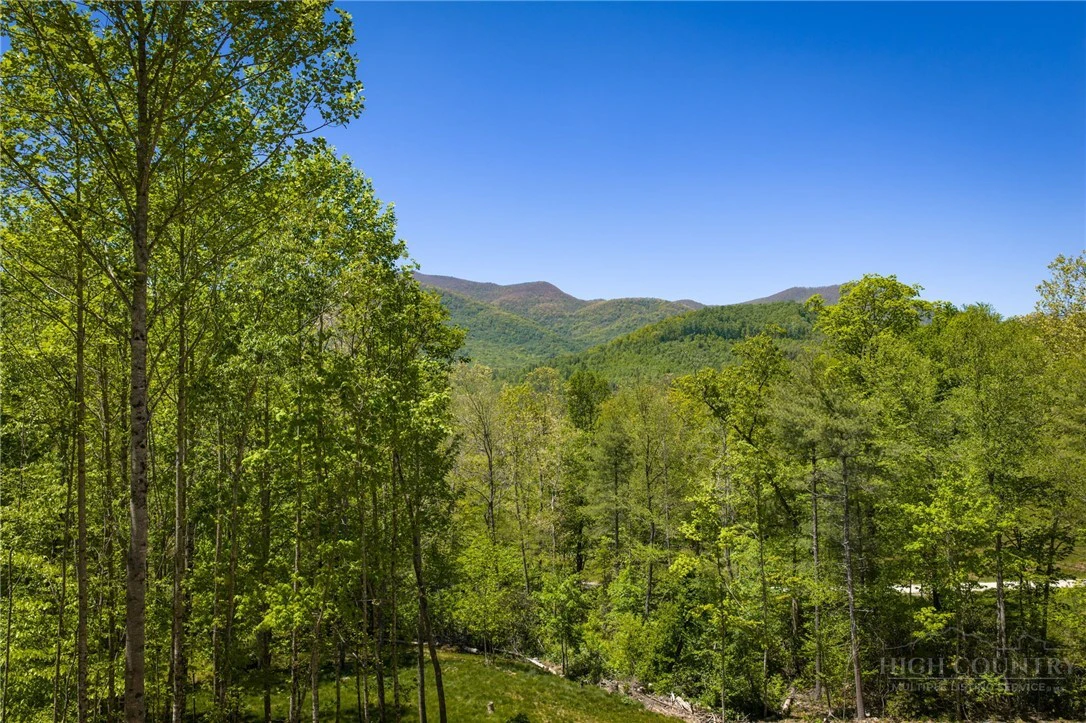Image number 18 for the current listing