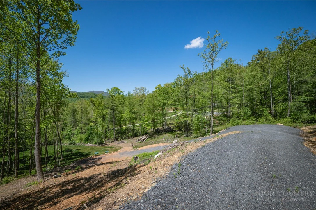 Image number 19 for the current listing