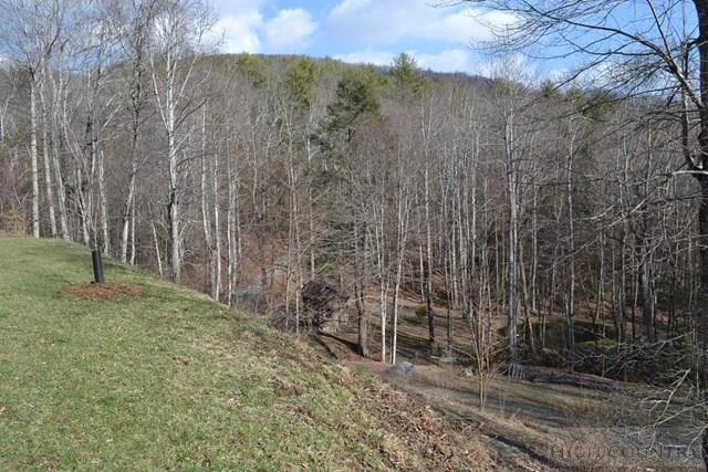 Image number 2 for the current listing