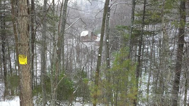 Image number 11 for the current listing