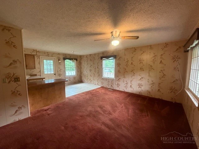 Image number 12 for the current listing