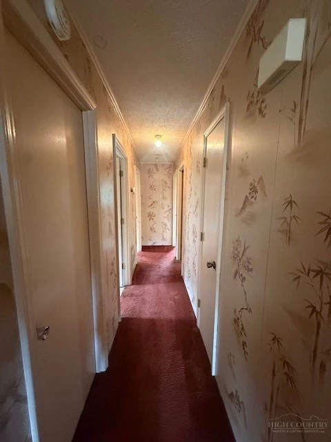 Image number 13 for the current listing