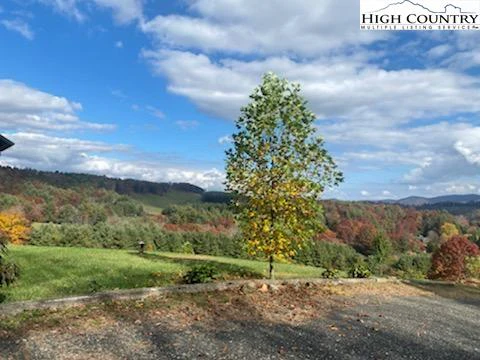 Image number 18 for the current listing