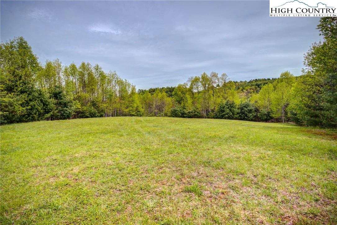 Image number 2 for the current listing
