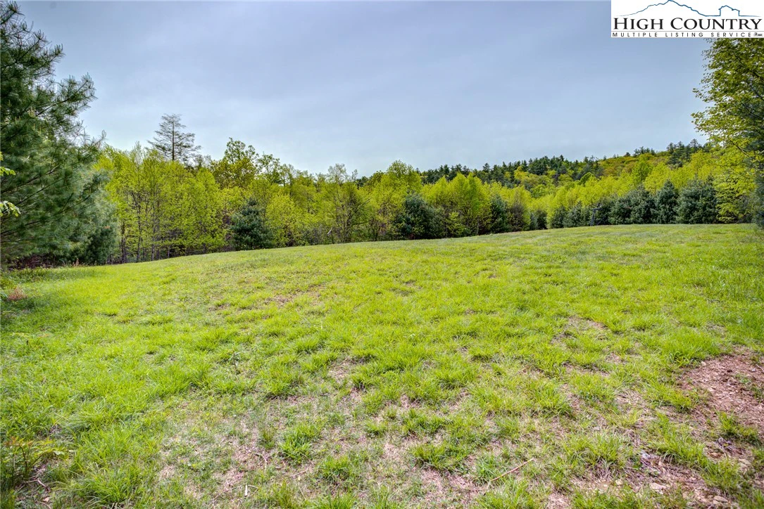 Image number 15 for the current listing