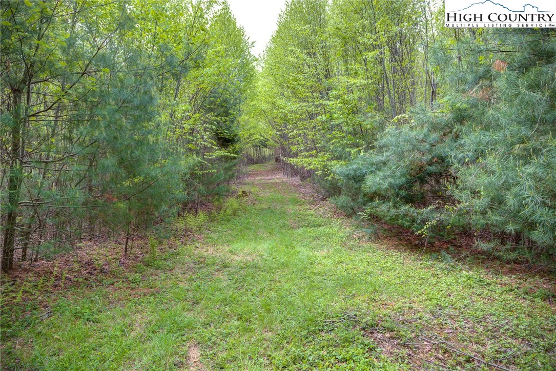 Image number 16 for the current listing