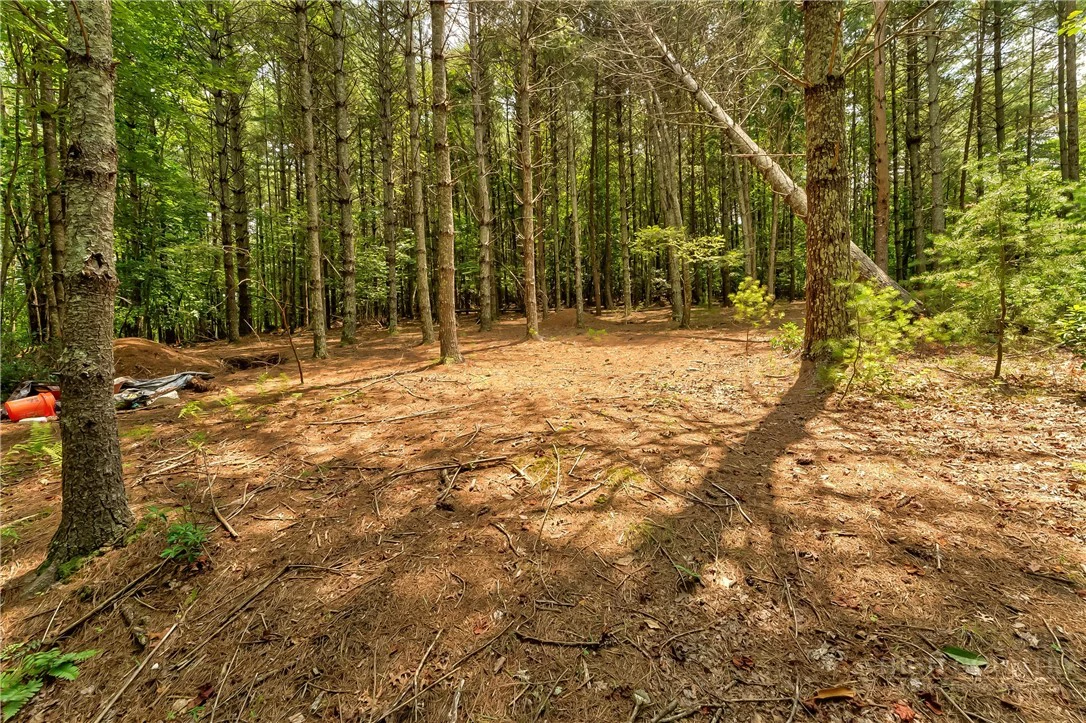 Image number 3 for the current listing