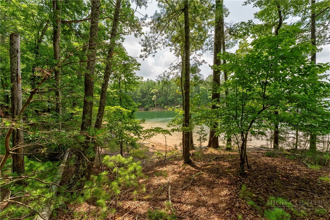 Image number 7 for the current listing