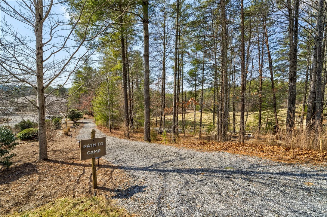 Image number 14 for the current listing